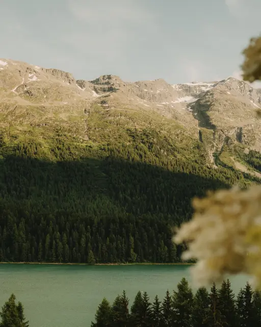 Badrutts Palace Tower Revue The Wedding Landscape Engadin Lake