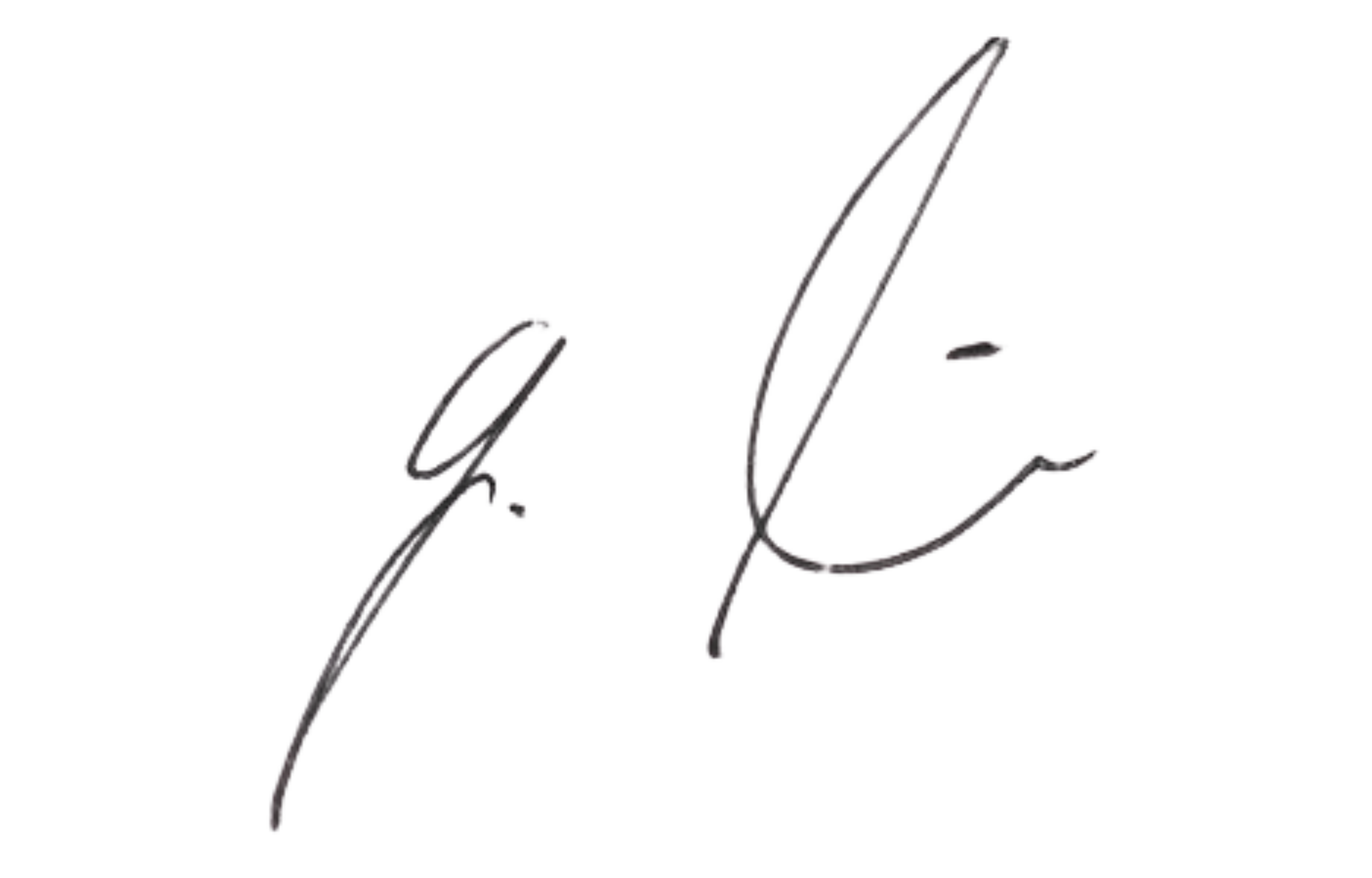 Firma 2