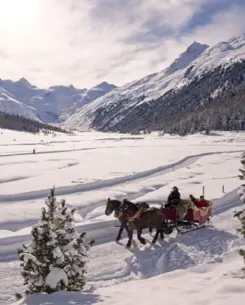 Badrutts Palace Experiences Winter Equestrian Adventures Carriage Rides