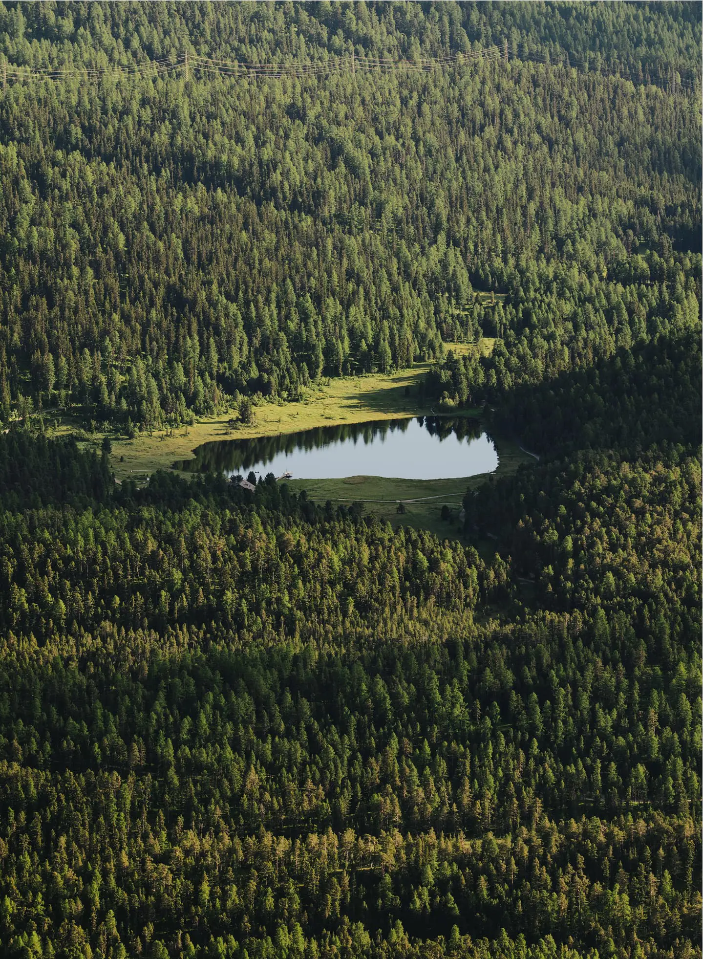 Badrutts Palace Gallery Nature Landscape Lake Summer 059 S