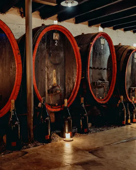 Badrutts Palace Food And Beverage Secret Places Wine Cellar Winebarrels