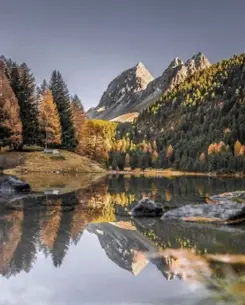 Badrutts Palace Experiences Summer National Park