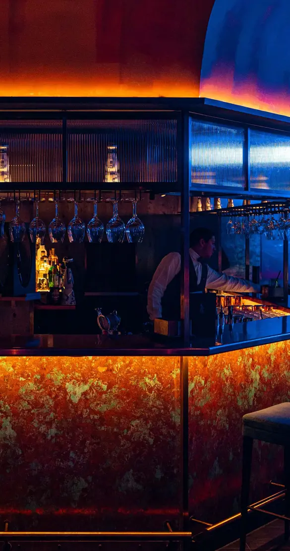 Badrutts Palace Food And Beverage Restaurants Clubs Bar Kings Social House Interior Bar