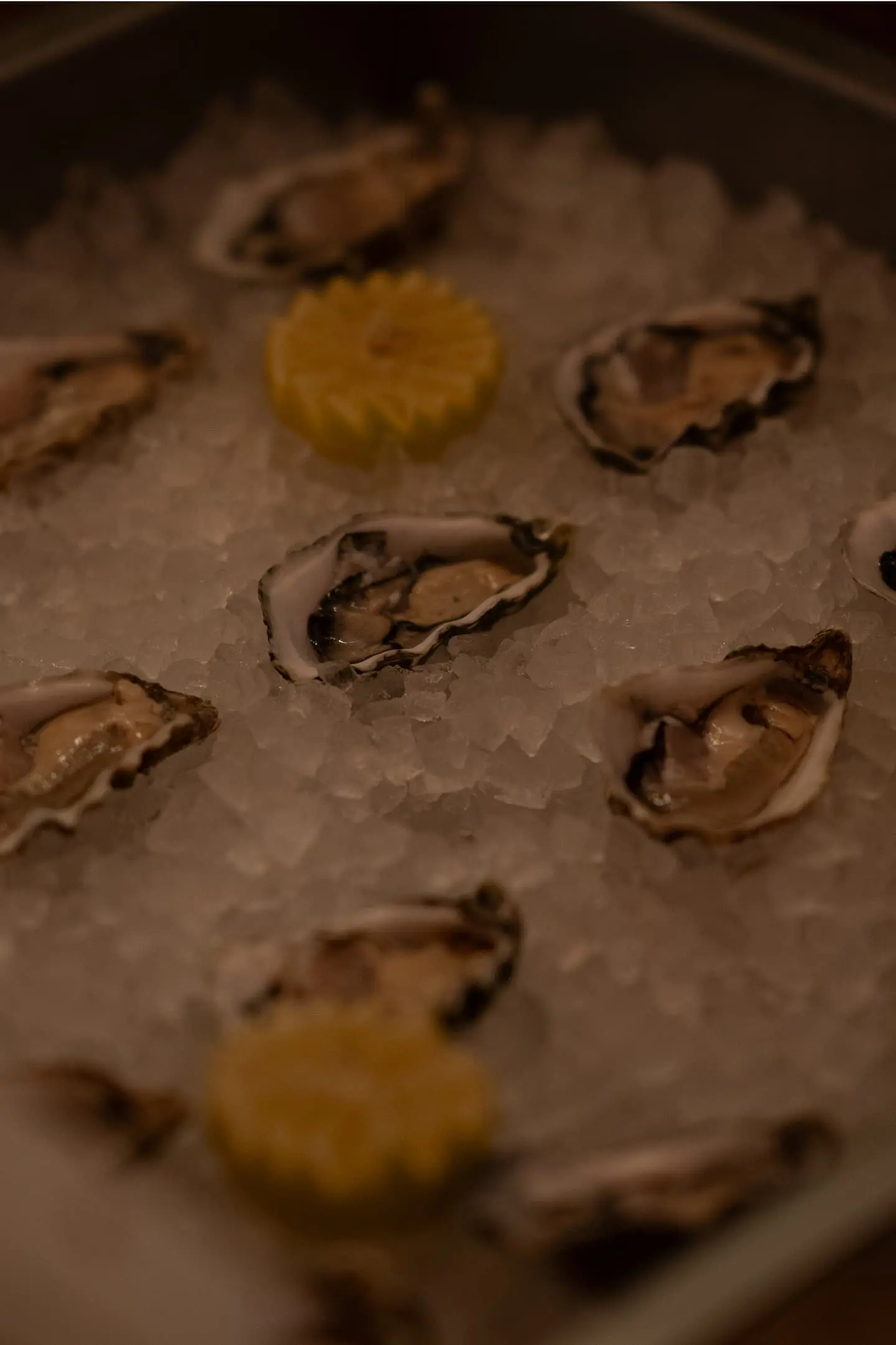 Badrutts Palace Gallery Restaurants Food Oysters 005