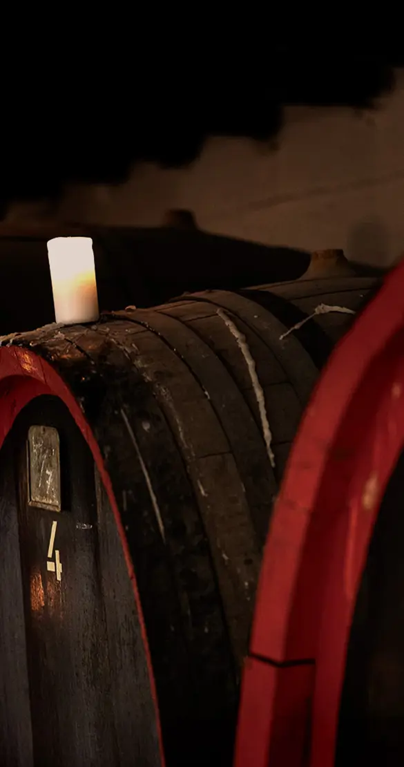 Badrutts Palace Tower Revue Food And Drinks Secrets Of A Sommelier Cristina Iuculano Wine Barrels