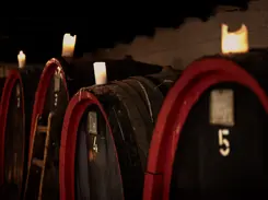 Badrutts Palace Tower Revue Food And Drinks Secrets Of A Sommelier Cristina Iuculano Wine Barrels