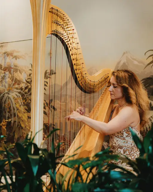 Badrutts Palace Food And Beverage Restaurants Le Restaurant Harp Music Woman