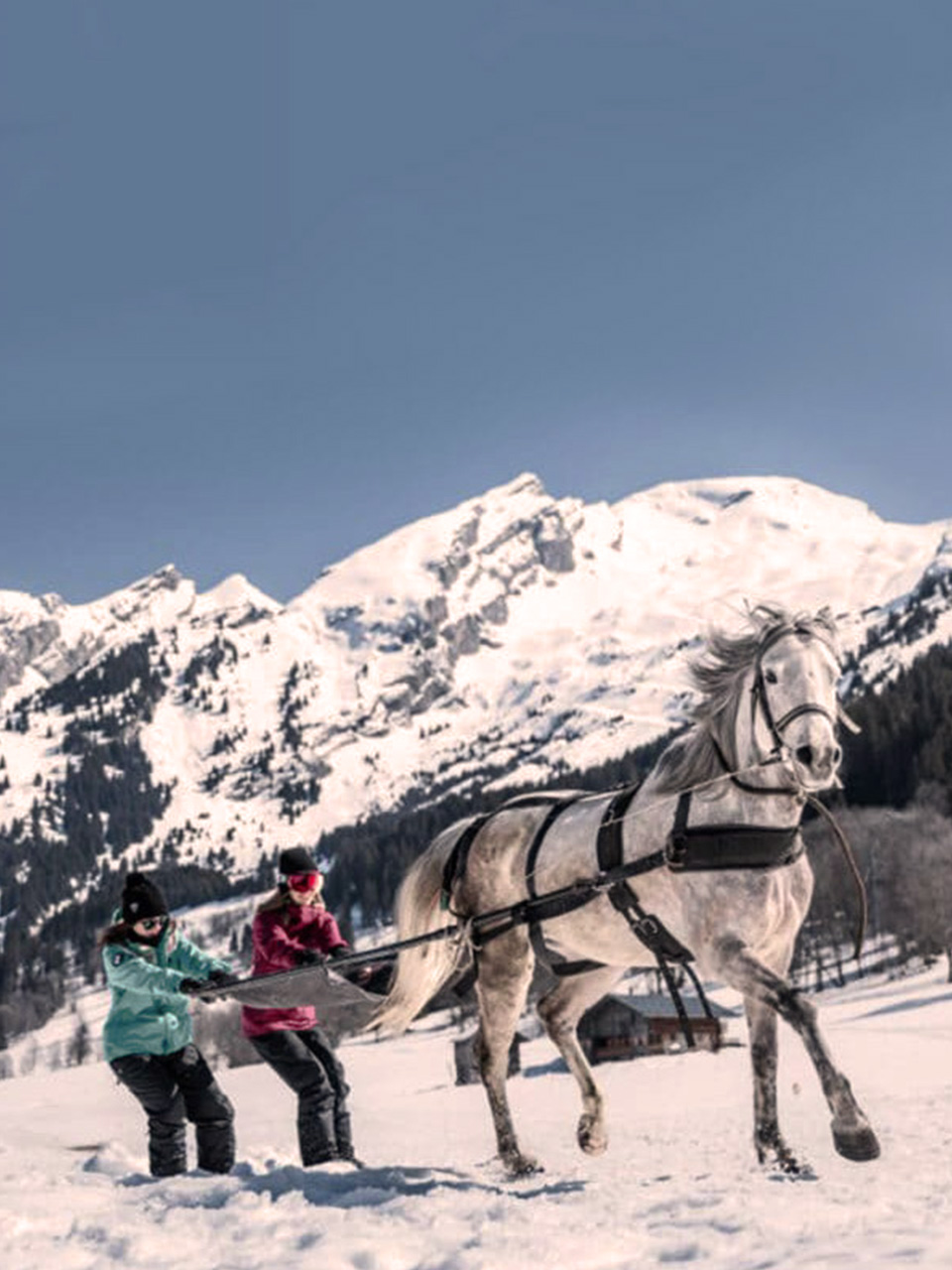 Badrutts Palace Experiences Winter Equestrian Adventures Skijoering