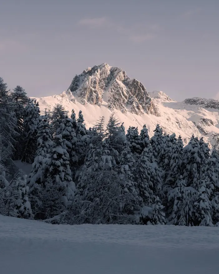 Badrutts Palace Experiences Winter Hiking Biking