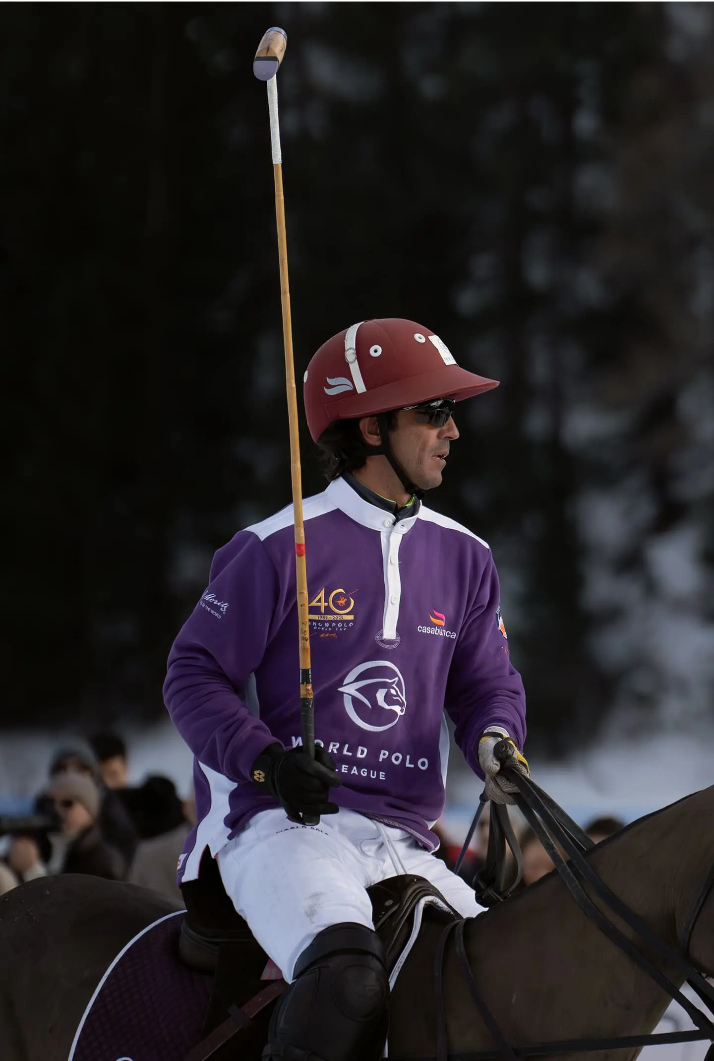 Badrutts Palace Gallery Experiences Polo Horses 053 W
