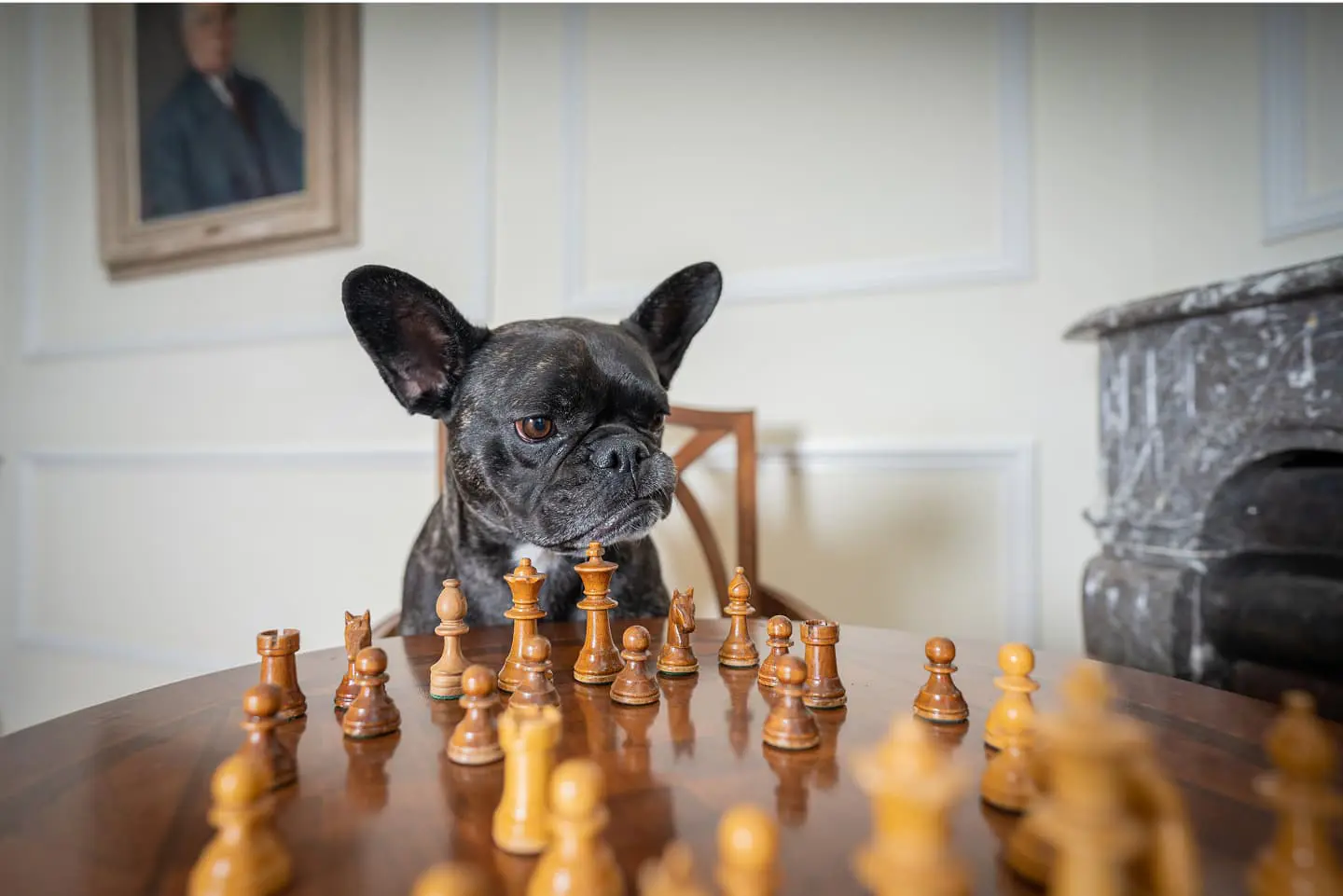 Badrutts Palace Gallery Dogs Chess 007