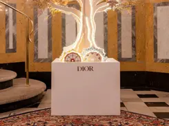 Badrutts Palace Tower Revue Foundation For Change Christmas Tree Auction Dior